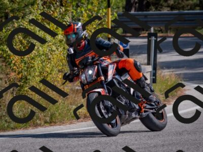 202510191324-DSC_7814_c4_