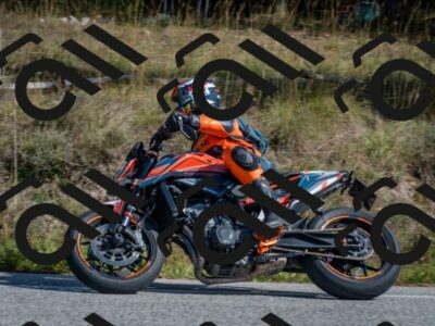 202510191324-DSC_7815_c4_