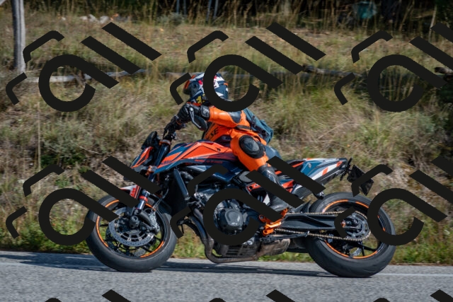 202510191324-DSC_7815_c4_