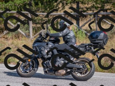 202510191324-DSC_7822_c4_