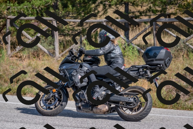 202510191324-DSC_7822_c4_