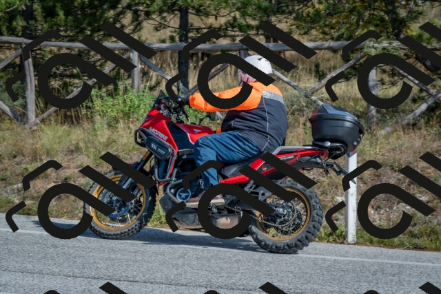 202510191324-DSC_7824_c4_