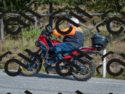 202510191324-DSC_7824_c4_