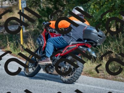 202510191324-DSC_7825_c4_