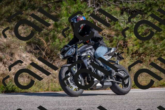 202510191325-DSC_7827_c4_