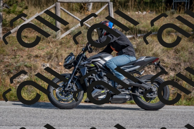 202510191325-DSC_7828_c4_