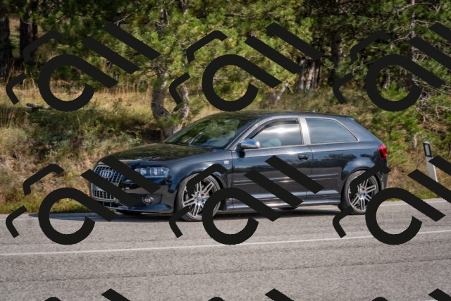 202510191327-DSC_7834_c4_