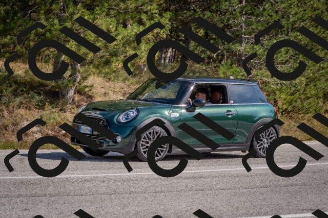 202510191327-DSC_7835_c4_