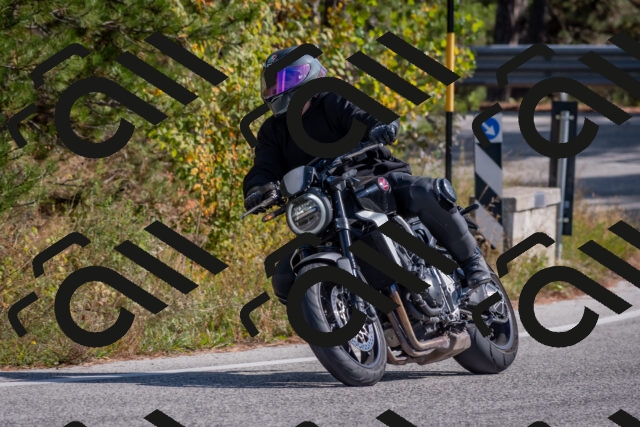 202510191327-DSC_7841_c4_