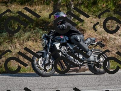 202510191327-DSC_7842_c4_