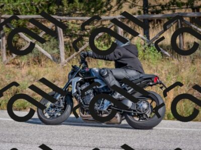 202510191327-DSC_7843_c4_