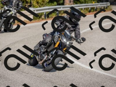 202510191328-DSC_7844_c4_