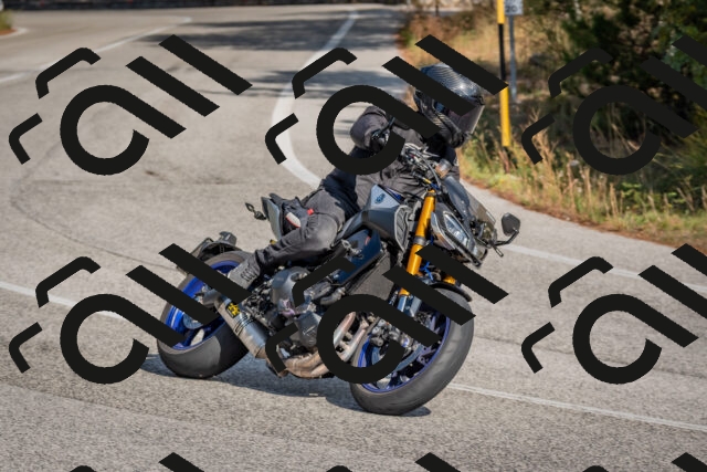 202510191328-DSC_7845_c4_