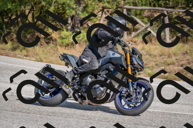 202510191328-DSC_7846_c4_