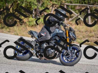 202510191328-DSC_7846_c4_