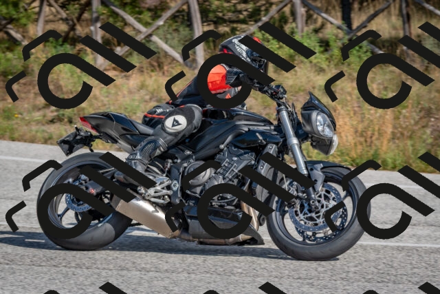 202510191329-DSC_7852_c4_