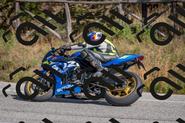 202510191329-DSC_7859_c4_