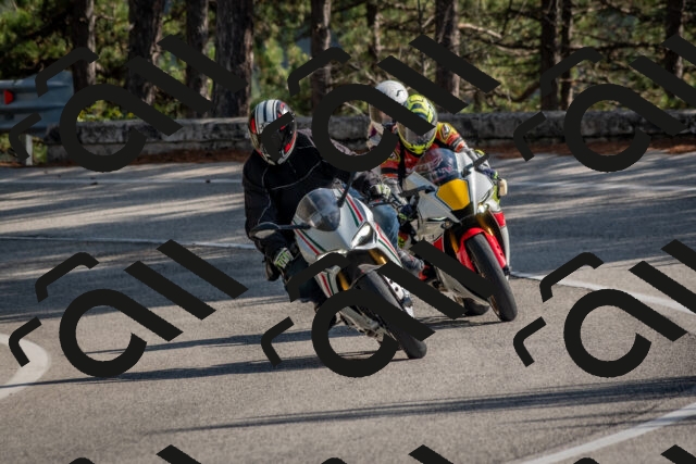 202510191329-DSC_7860_c4_