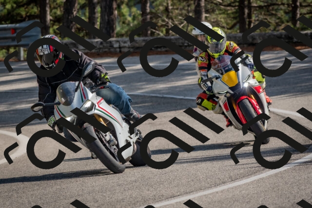 202510191329-DSC_7861_c4_