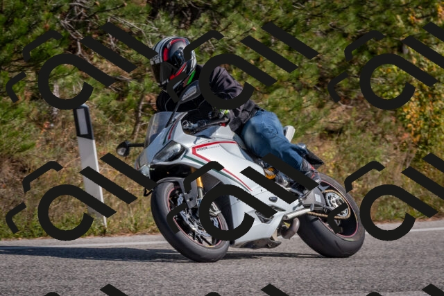 202510191329-DSC_7862_c4_