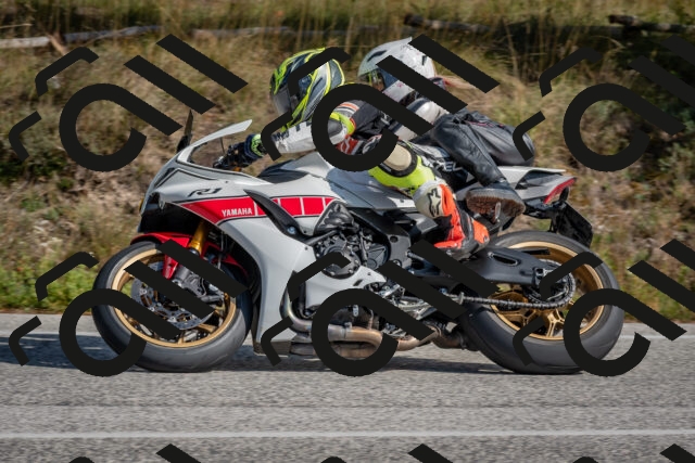 202510191329-DSC_7864_c4_