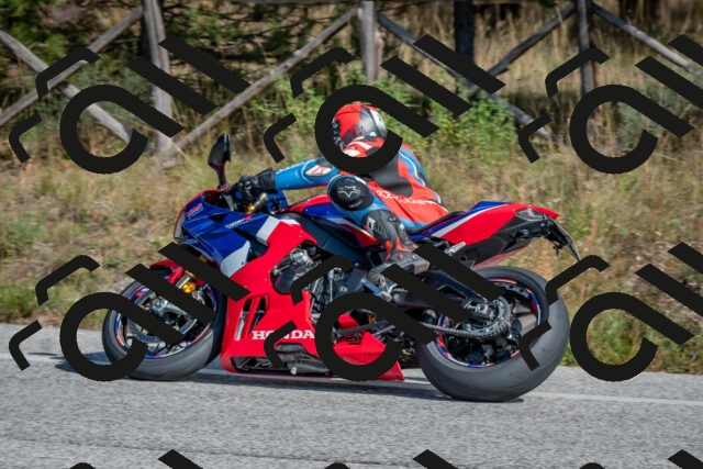 202510191329-DSC_7866_c4_