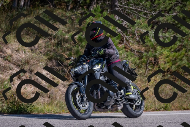 202510191330-DSC_7868_c4_