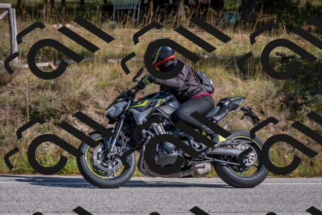 202510191330-DSC_7869_c4_