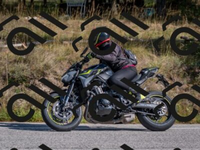 202510191330-DSC_7869_c4_