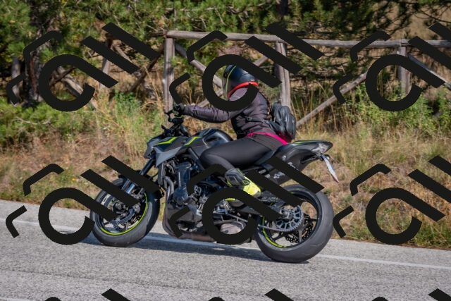 202510191330-DSC_7870_c4_