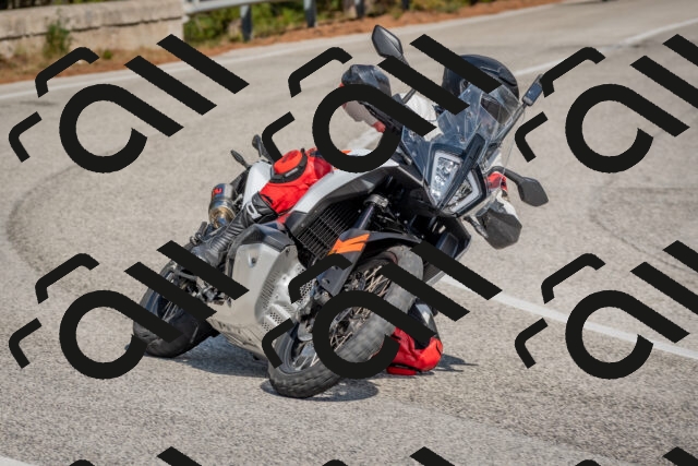 202510191333-DSC_7872_c4_