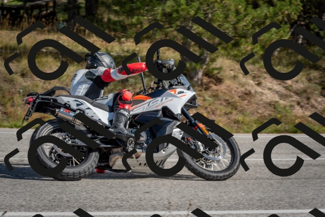 202510191333-DSC_7874_c4_