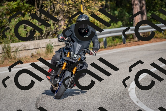 202510191333-DSC_7878_c4_