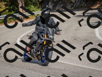 202510191333-DSC_7879_c4_