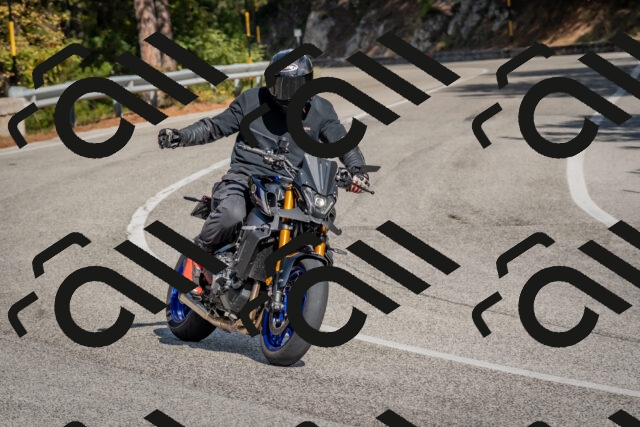 202510191333-DSC_7879_c4_