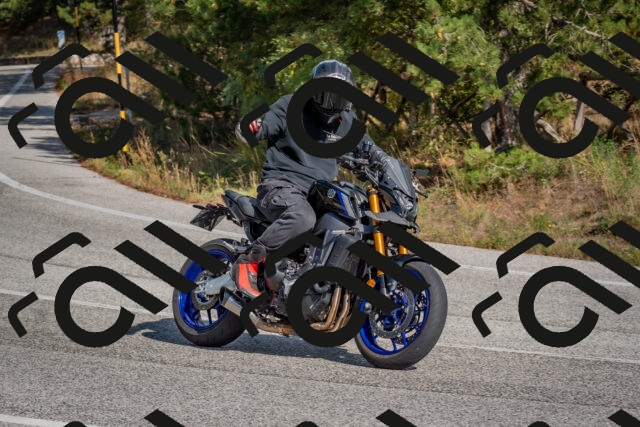 202510191334-DSC_7880_c4_