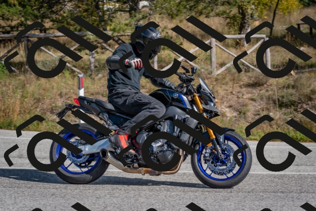 202510191334-DSC_7881_c4_