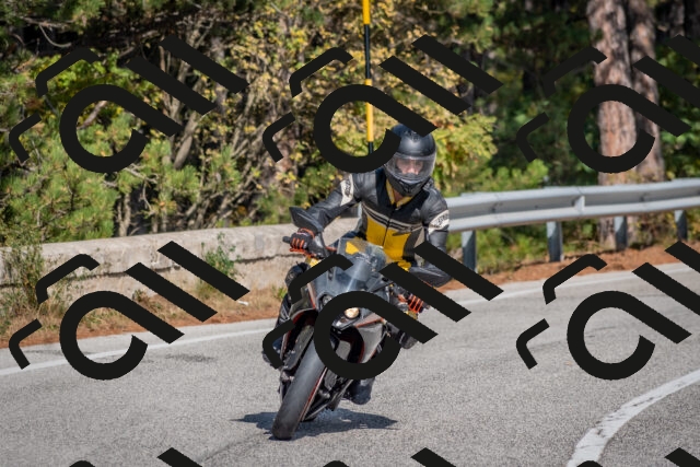 202510191334-DSC_7882_c4_