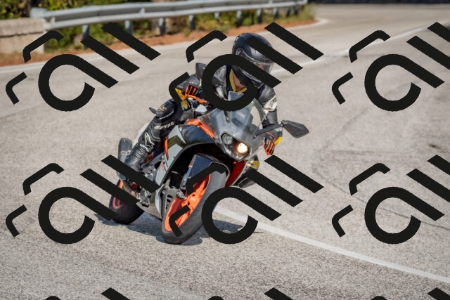 202510191334-DSC_7883_c4_