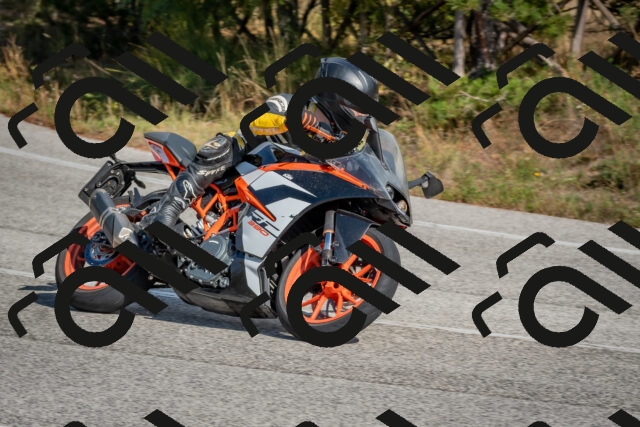 202510191334-DSC_7884_c4_