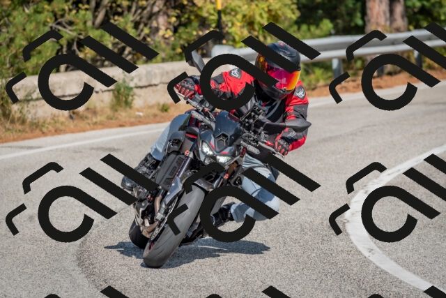 202510191334-DSC_7886_c4_