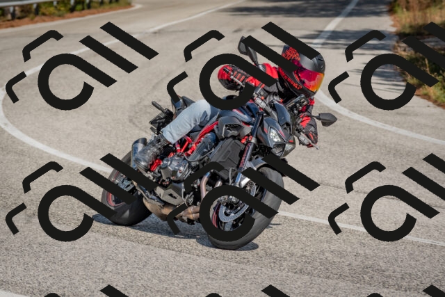 202510191334-DSC_7887_c4_