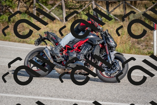 202510191334-DSC_7888_c4_