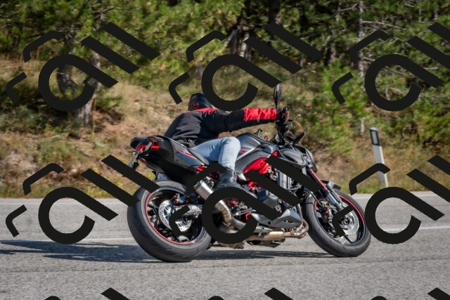 202510191334-DSC_7889_c4_