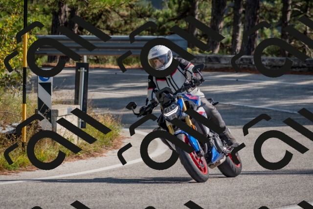 202510191335-DSC_7899_c4_