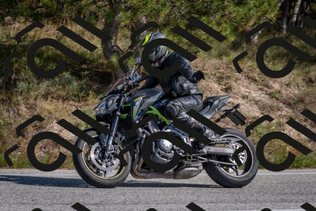 202510191336-DSC_7905_c4_