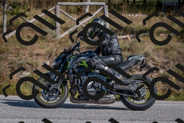 202510191336-DSC_7906_c4_