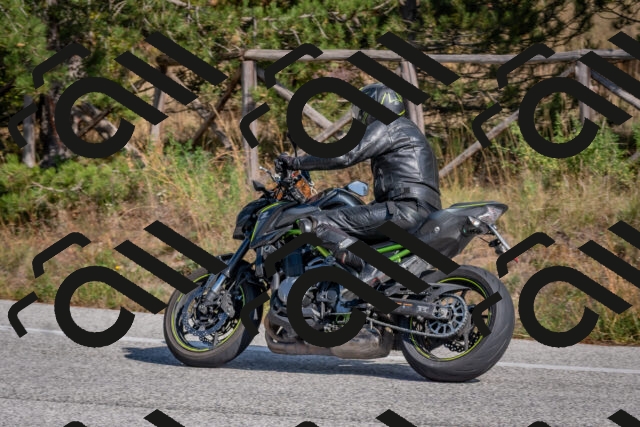 202510191336-DSC_7907_c4_