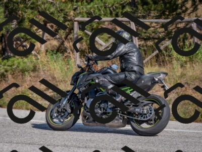 202510191336-DSC_7907_c4_