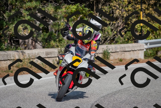 202510191337-DSC_7908_c4_